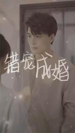 错宠成婚